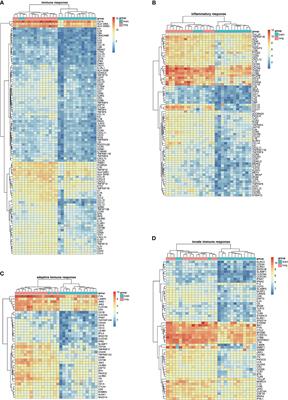 NFAT as a Biomarker and Therapeutic Target in Non–Small Cell Lung Cancer–Related Brain Metastasis